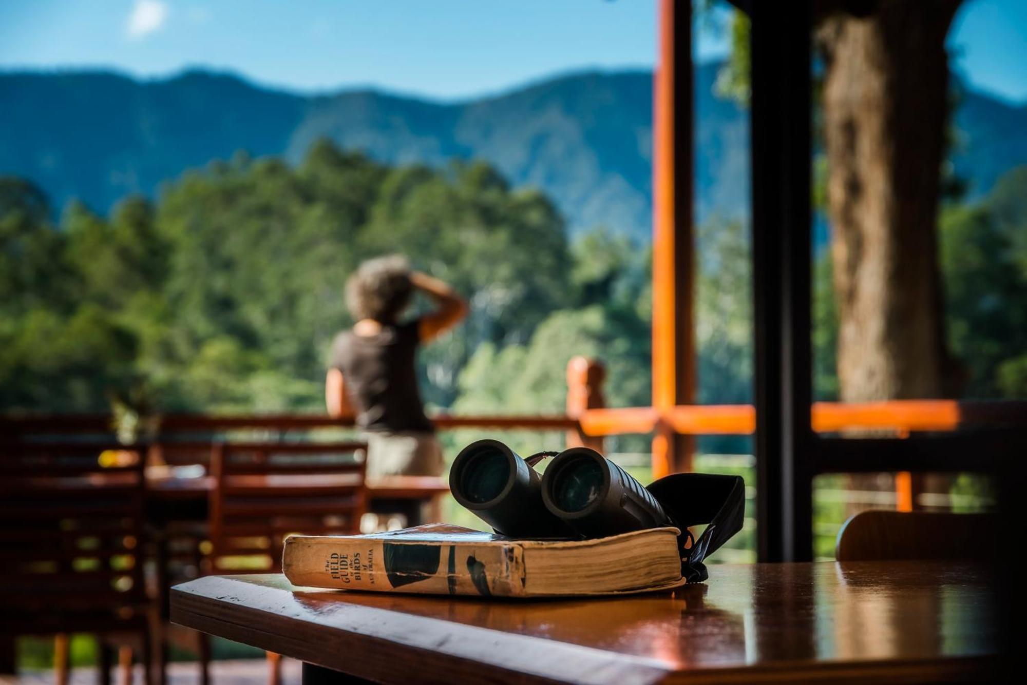Promised Land Retreat Villa Bellingen Cameră foto
